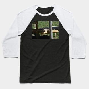 Cougar Cub Baseball T-Shirt
